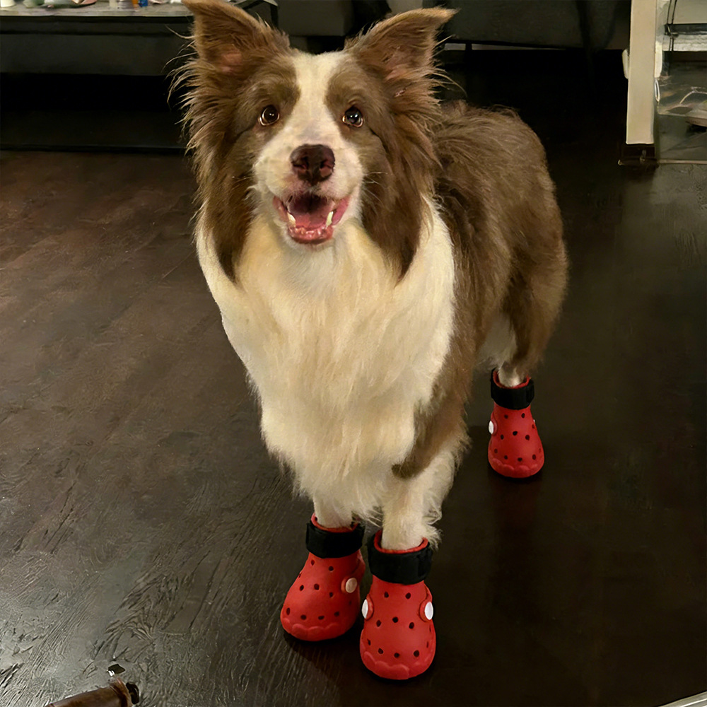 Scarpe per cani, scarpe universali con fori per tutte le stagioni, comode e traspiranti, antiscivolo e resistenti all'usura, scarpe per animali domestici con suola morbida per proteggere le zampe del cane._voghion.com