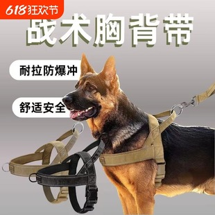 Dog Leash, Large Dog Harness, Vest Collar, Horse Dog Golden Retriever, German Shepherd, Border Collie Collar, Dog Walking Leash