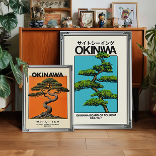 ����˹��ʽ�й��L�쮋Okinawa�߼��бڮ�ins���g���÷��b���b�