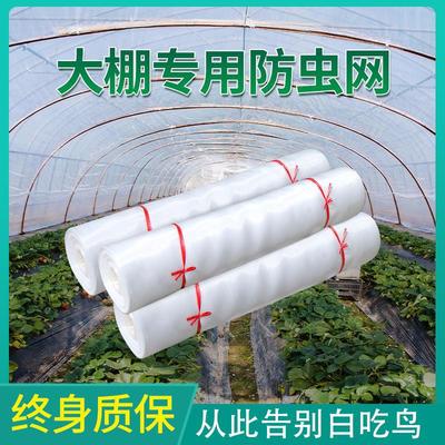 Insect greenhouse farm Mosquito nets thickening encryption 60 nylon Gauze Vegetables Fruit tree Insect