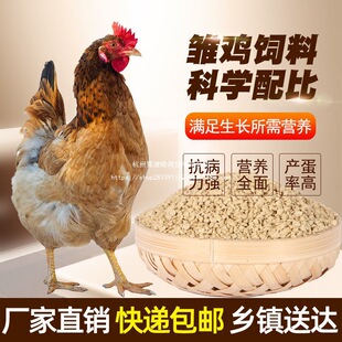 �u���ι�uС�u�_��������ĸ�u�a���w��ȫ�r����Bֳ�����l40��