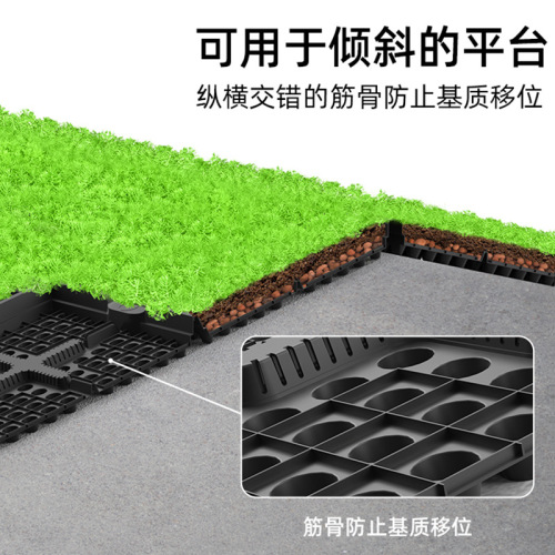 Modular roof garden planting plate Buddha grass gardening vegetable container roof greening planting pot flower pot flower box