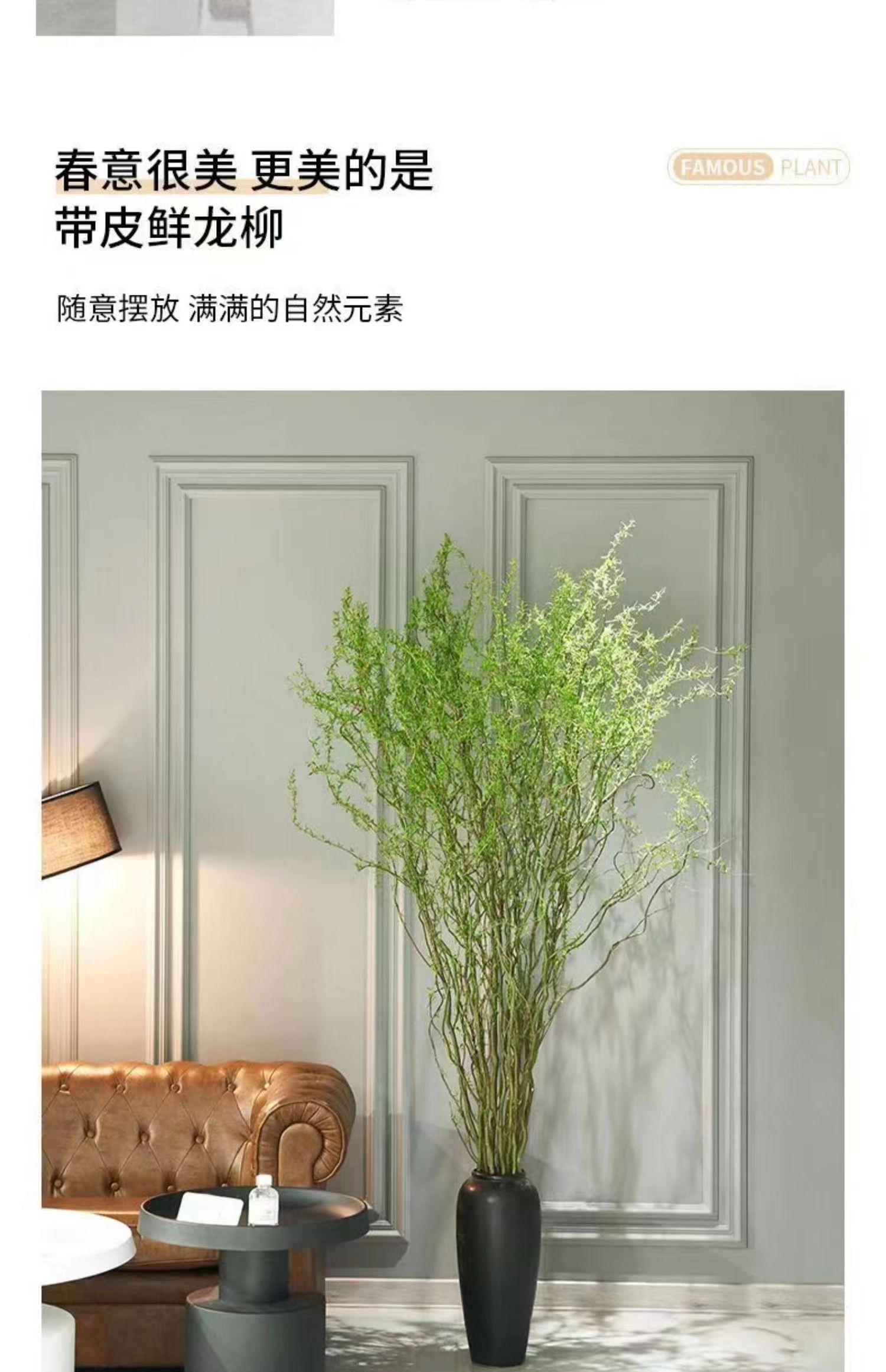 水培植物龙柳鲜枝侘寂中古风客厅办公室黄金绿植遇水好养枯木批发-阿里巴巴