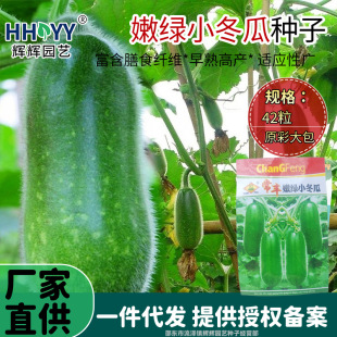 �۾GС���ϷN���紺С�������߲˷N���r��ˈ@���ϷN������С����