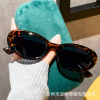 Fashionable retro sunglasses hip-hop style, Korean style, 2 carat, internet celebrity