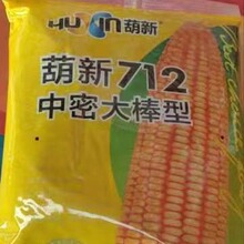 ����712���׷N�� �s���N���׷N�ӏS�ҹ��� �r�I�Nֲ�s�����׷N��