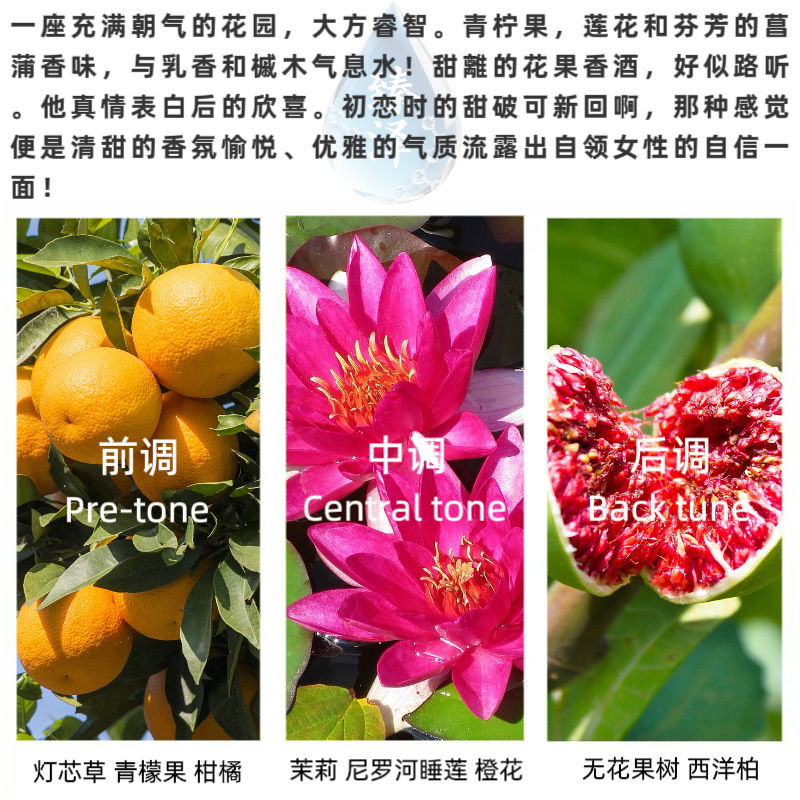 尼罗河花园原液香水香精无火香薰蜡烛日化香精免费小样仿香高浓度|undefined