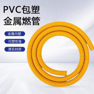 Supply Pvc Double Buckle Plastic Coated Metal Armored Pipe Corrugated Pipe Gas Pipe Water Heater Connecting Pipe Outer Diameter 18mm