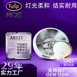 LED球泡灯;其他室内灯具;其他LED光源