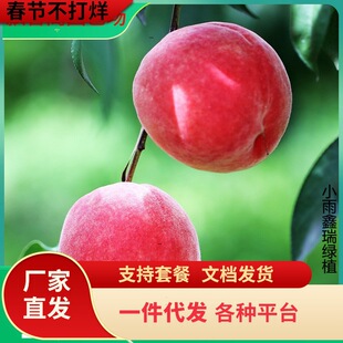 һ�����lƽ�ȴ��Ҙ� ��ñ����m ˮ���Ҙ��m�޽��m �޽����m �Ϸ�