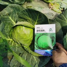 ������v���{�N�������s���G���m�N�Ѵ��＾���˴��^�˾��Ĳ˷N��