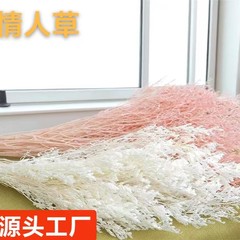 プリザーブドフラワー ラブグラス ブリーチドライフラワー 卸売 花束 ホームデコレーション DIY花材 結婚式撮影 枯れない
