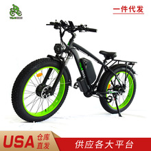 Fat Adult Electric Dirt Bike Beach 2000W Dual Motor ebike