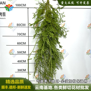 ���r�^ɽ���r�л�ʯ��ֲ������ɭϵ��c��Y����diy�r������