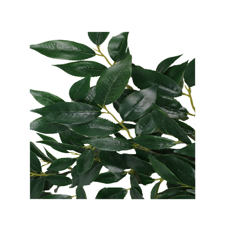 XRB-184 赤楠叶四叉枝110叶3.jpg