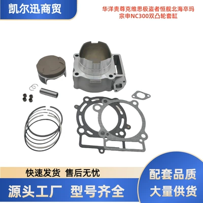 Huayang Guizun Hengjian Beihai Zuoma Zongshen Nc300 ikili eksantrik silindr dəsti