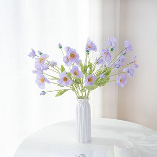 �����˷��滨�߼��б����Y�������üҾ��b[�����컨�����ٻ�