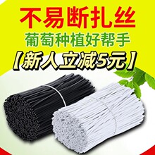 �����˸������p5Ԫ�����\���ܼ��F�z늾���|���lܛ����������