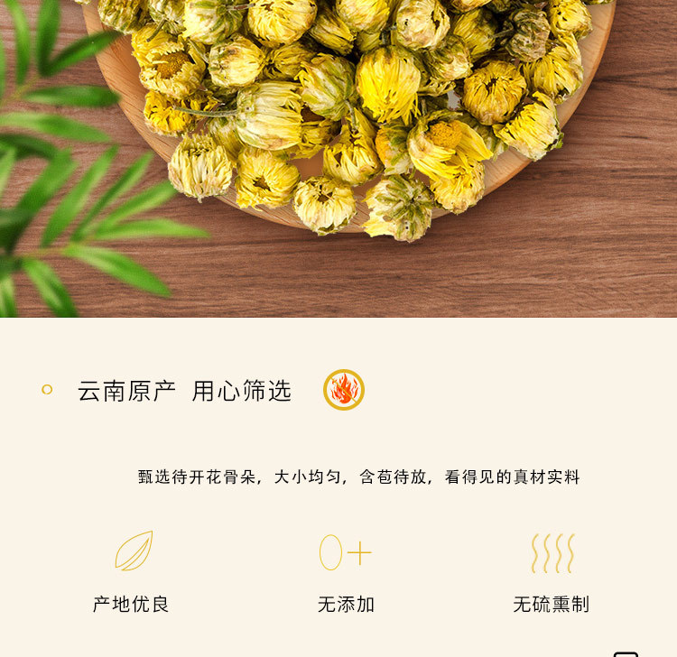 Dried Chrysanthemum Bud Tea Tai Ju Floral Herbal Tea Loose Flower Tea 40g Can in use