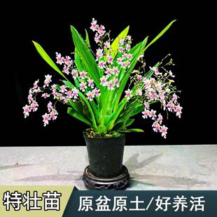 ���������m�������������F����HUA���B�����m�m����