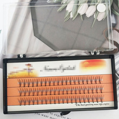 Cross-border Amazon Scarecrow False Eyelashes Wholesale Barbie Sandwich Fairy Style Self-Grafted Eyelash Flower Fibers