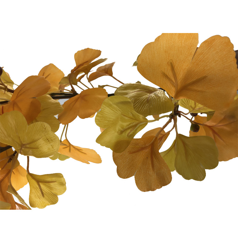 XRB-190 古枝银杏75叶7.jpg