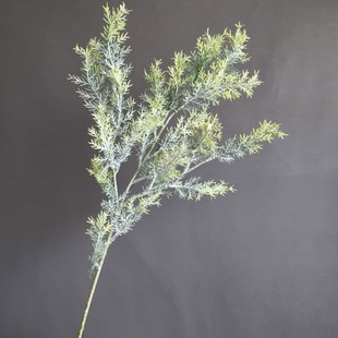 �����֦�̰ظ�ɽ�ؐ۠��m����ɽ����Ӱ��g��c�}�Q�OӋ�廨�b�