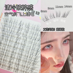 Glue-Free Fox-Style Eyelashes ~ Broken and Airy Feel, Makes Me Feel Sorry for Them, Eyelashes 2025 New Model with Transparent Stem