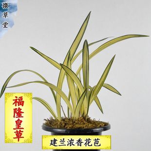 �m�����Խ��m�S����͸��¡�ʲݝ����҃��̨����