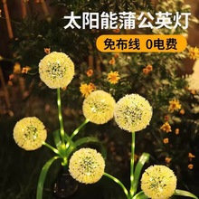 ̫��ܑ���ͥԺ�b����@�����ѹ�Ӣ���^���҃Ȼ��@��ƺ�Շ���