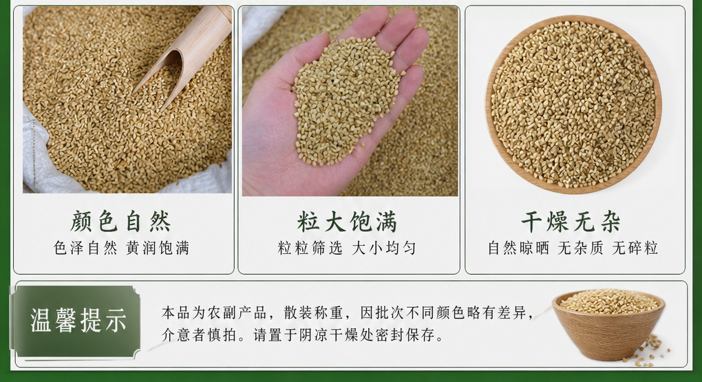 Platycladus Seed Bai Zi Ren Dried Herbal Seeds 1000g Bag for Tea and Decoction quality and texture