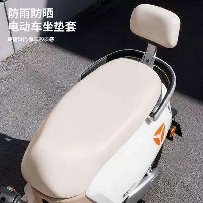 Motorcycle cushion, Seasons, Cute