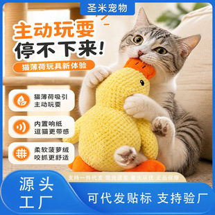 ؈؈���ë�q��˯��푼�؈������ҧĥ���l�␞����l���