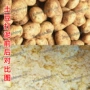 不锈钢果蔬打碎机