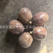 �tƤ���Ĺ����l���������ԭ��ԭ�ѽ����������������F���_��