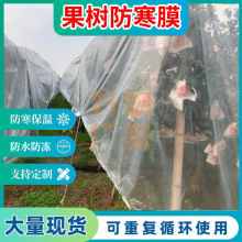 ���ٹ����������Ĥ�����Ӻ�ɳ�ǽ۰ҰҸ̱�������Ĥ�@�ֿ�����˪