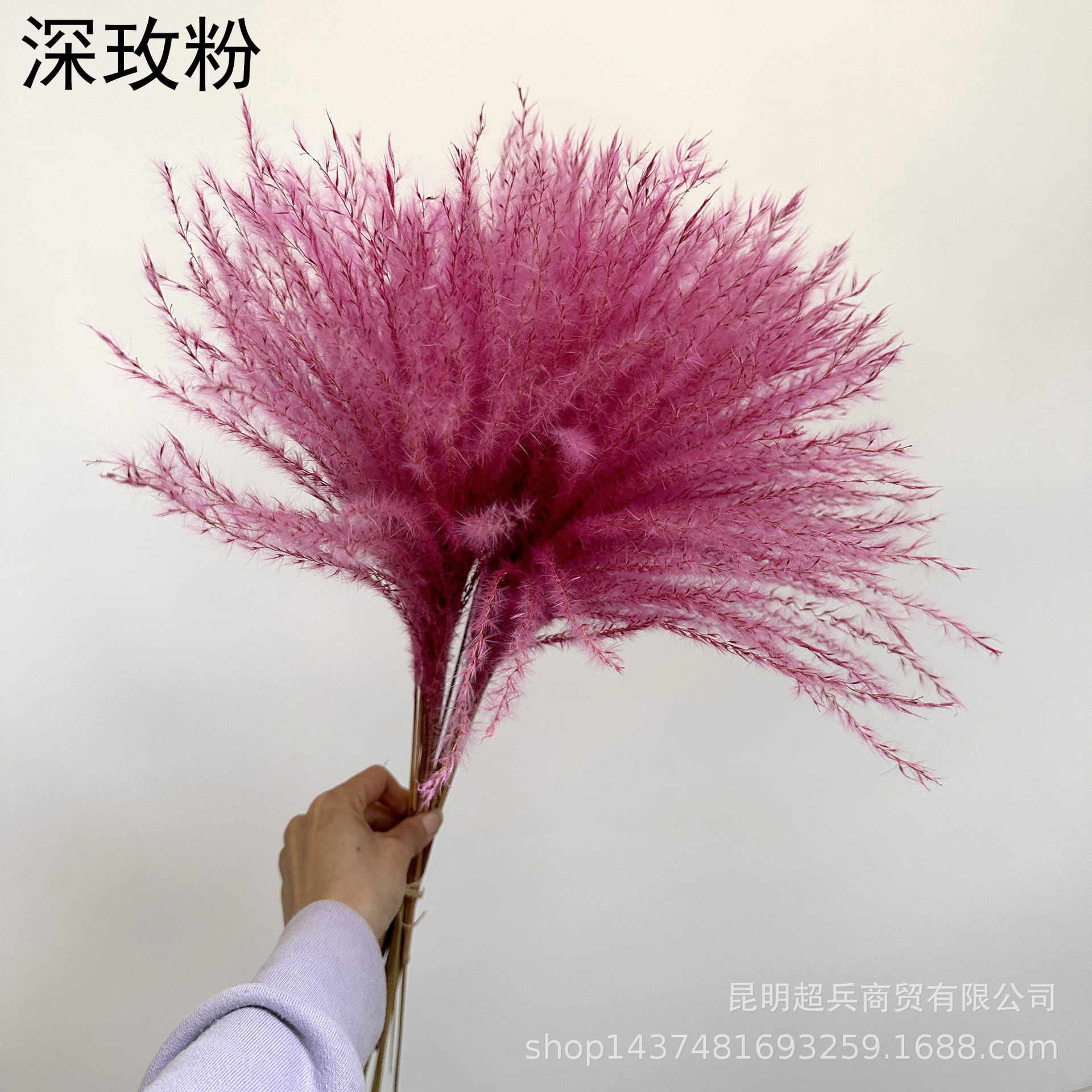 微信图片_20250310134607.jpg