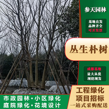 �ؑc�F���Ĵ������Ә�߶�800�����Ә�߶�850�����Ә�߶�900��