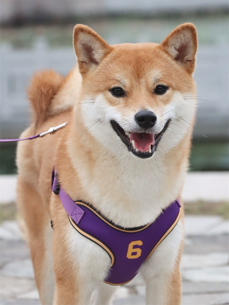 Поводок для собак, поводок для собак малого и среднего размера, поводок для собак, летний поводок для собак Shiba Inu с защитой от удушения на груди и спине, дышащая шлейка для собак