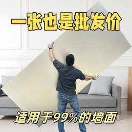 金属人592墙板收藏碳晶板装饰板护墙板背景墙木饰面室内装修