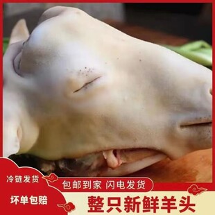 ���^���r��ֻ�^��Ƥ������r��������Ƥ���r������ă����]