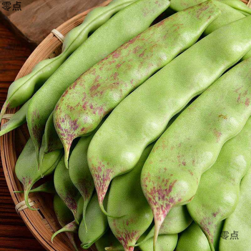 東北産油豆、新鮮な9月の緑豆、赤い油豆、農場で栽培された野菜、メーカーから発送|undefined