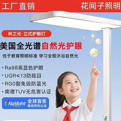 街路灯フルスペクトル子供用テーブルランプ目の保護学習特別な近視防止小教室フロアランプピアノ読書ランプ