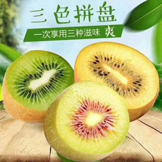 红阳翠香金果G3三拼猕猴桃 代发红心绿心黄心奇异果应季新鲜水果
