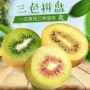新鲜代发应季g3奇异果