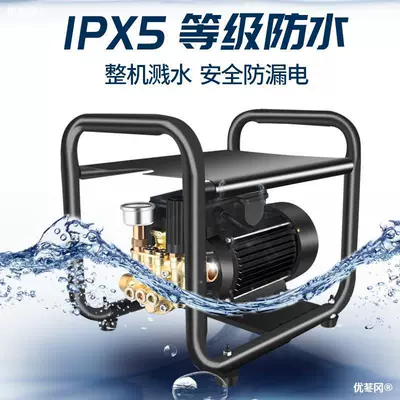 Customized Black Cat Pressure Regulating High: Portable car washer