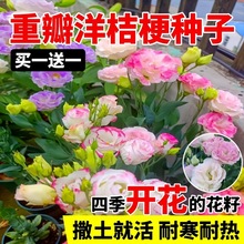 �M���ذ���۹����N���ļ����N�_���׻�ܷN�����⻨�N���Ӵ�ȫ