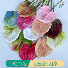 �ָІ�֦�oƤ��С�t�Ʒ��滨 ����Q ��Y���쾰�ٻ��Ҿә����[�O