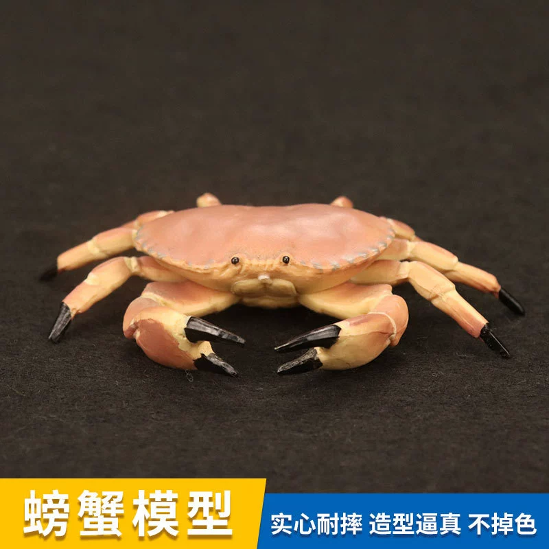 Realistic marine plastic cognitive minifigure, simulation modeling for children, bread