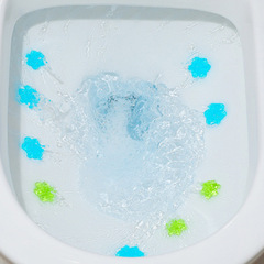 Toilet flower toilet cleaning fragrance deodorizing toilet gel floral fragrance toilet cleaning spirit toilet deodorizing artifact wholesale